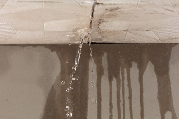 Professional Water Damage Inspection technician working in Waelder, TX